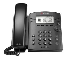 polycom300